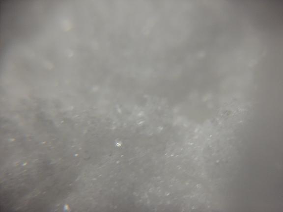 The Piracetam Experience - Trip Reports - Shroomery Message Board